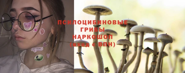 тгк Армянск